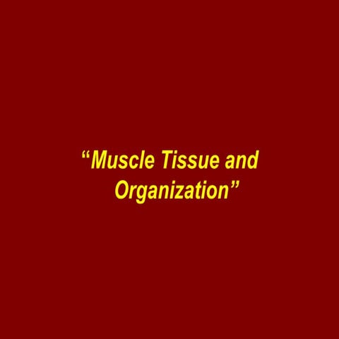 Muscle tissue and organisation.ppt