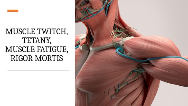 MUSCLE TWITCH,TETANY,MUSCLE FATIGUE, RIGOR MORTIS.pptx