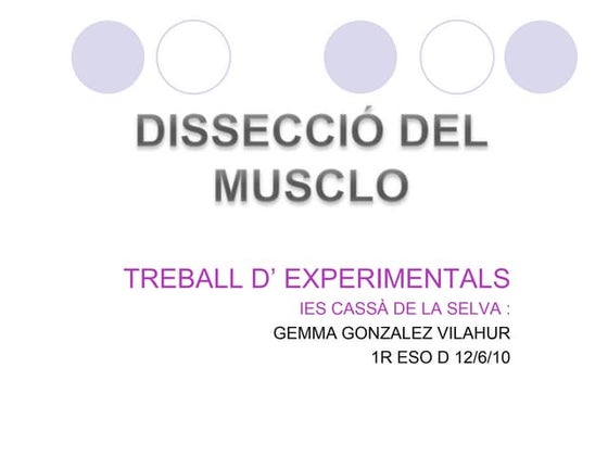 Dissecció pulmó | PPT