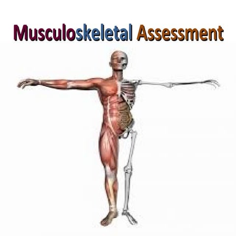 Assessment of musculoskeletal system | PPT