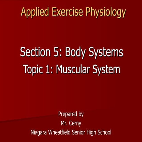 Muscular System