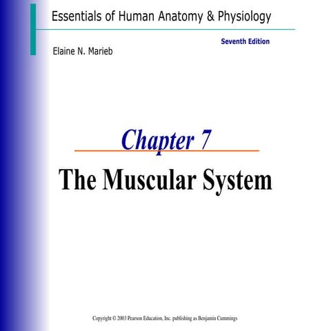 MUSCULAR-SYSTEM-POWER POINT PRESENTATION | PPT