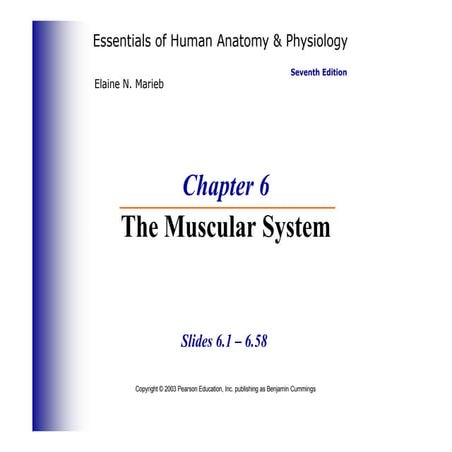 Muscular-System_110006.pptxnjbdhdusush8263636374 | PPTX