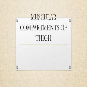 MUSCULAR COMPARTMENTS OF THIGH mit 5.pptx
