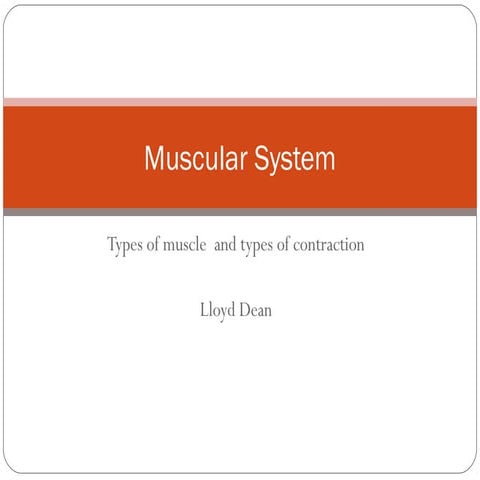 Muscular contraction and muscle types