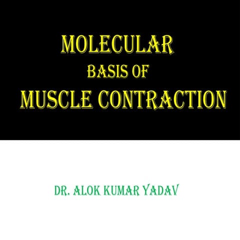 Muscular Contraction Mbbs And Other Science Pptx Pptx