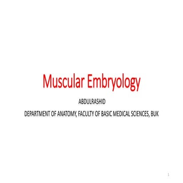 Muscular system embryology for medical students