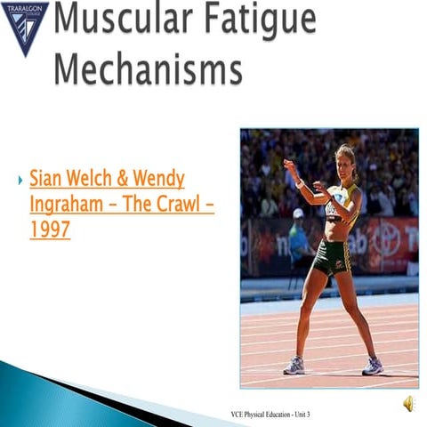Muscular fatigue mechanisms 2011