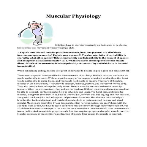 Muscular physiology