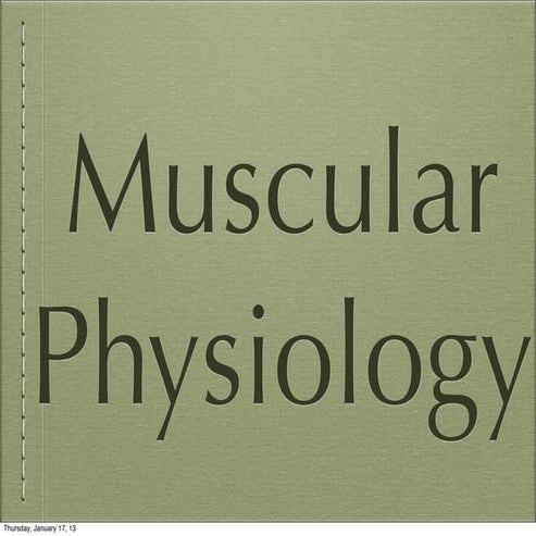 Muscular physiology