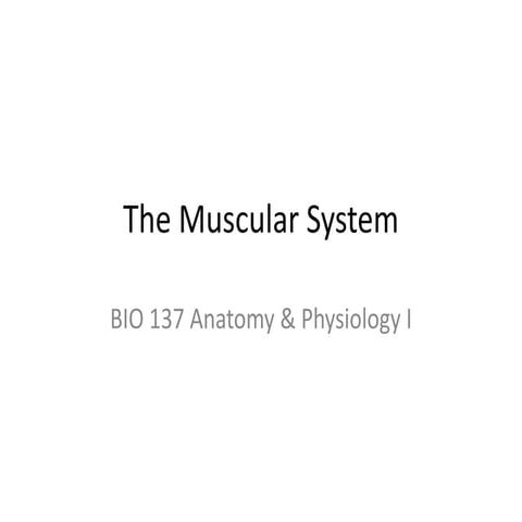 muscular ppt.pptx