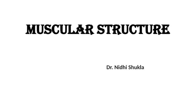 THE BIOMECHANICS OF THE MUSCULAR STRUCTURE.pptx