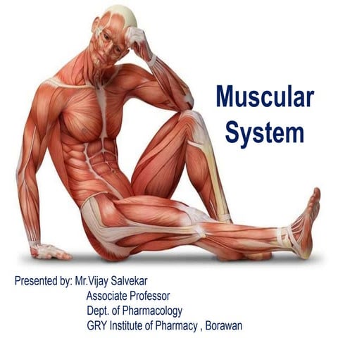Anatomy and Physiology of Muscular System.ppt