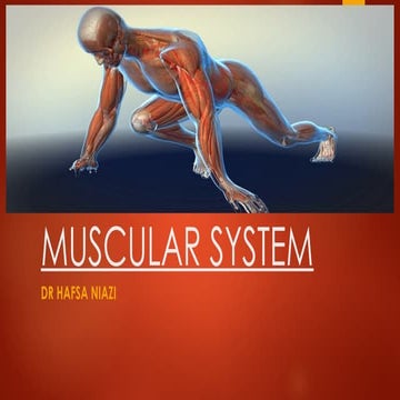 Anatomy and Physiology of Muscular System.ppt