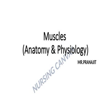 Anatomy & Physiology of  MUSCULAR SYSTEM.pptx