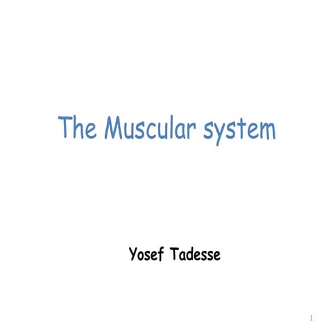 Muscular system class at addis ababa cba