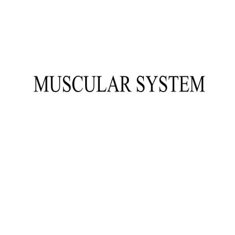 muscular-system-ppt