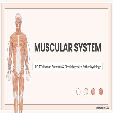 MUSCULAR SYSTEM human anatomy with patho