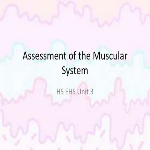 Muscular System Assessment