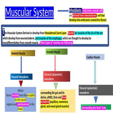 ESL medical English power point for the teacher #1