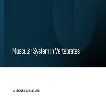 Muscular System in Vertebrates (Comparative) .pptx