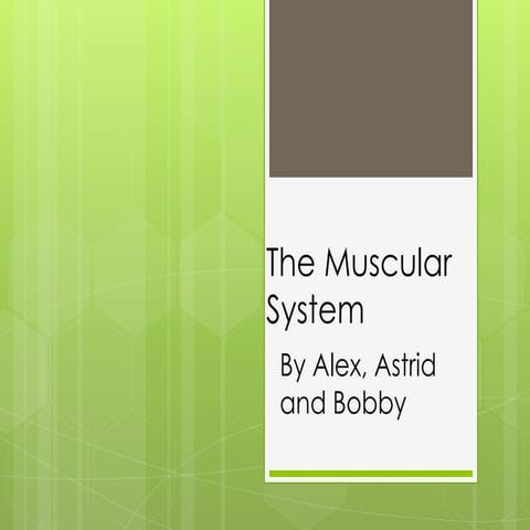 Muscular system power point