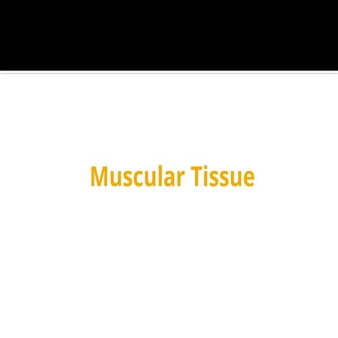 muscular tissue.- structure & Functionppt