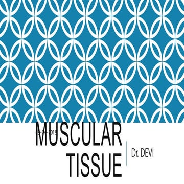 Muscular tissue Histology
