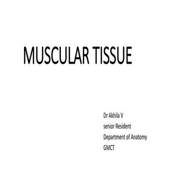 musculartissue_for CSSD pptx copy.pptx