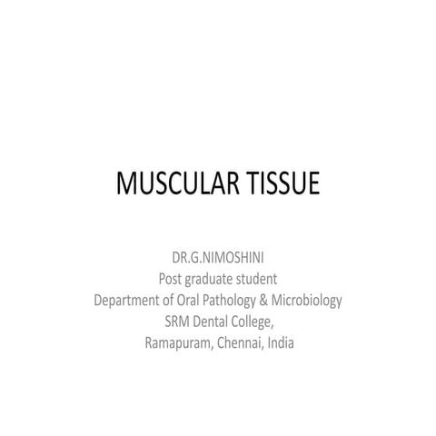 Muscular tissue