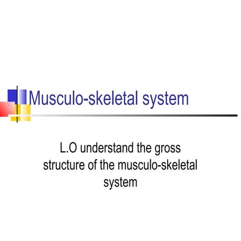 Muscular skeletal