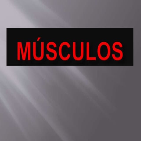 M usculos