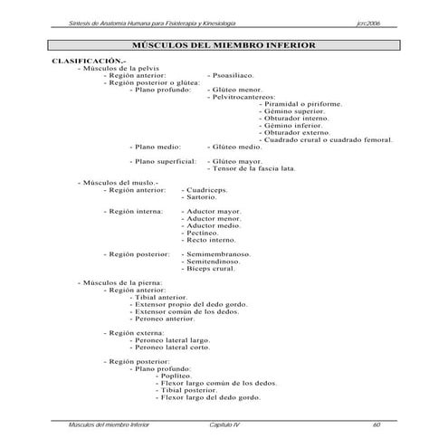 Musculos del miembro inferior