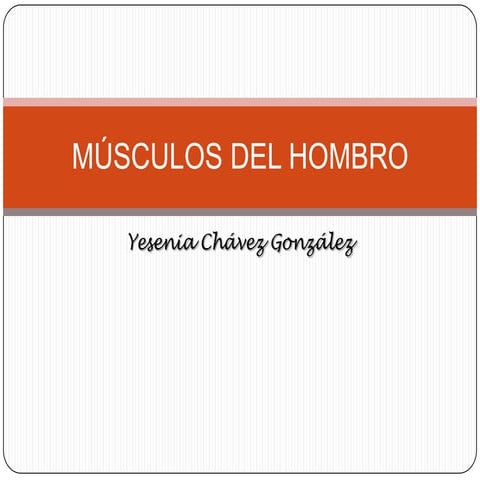 Musculos hombro