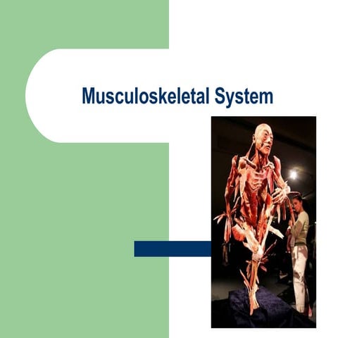 musculoskeletal-system-1206665862676641-3.pdf