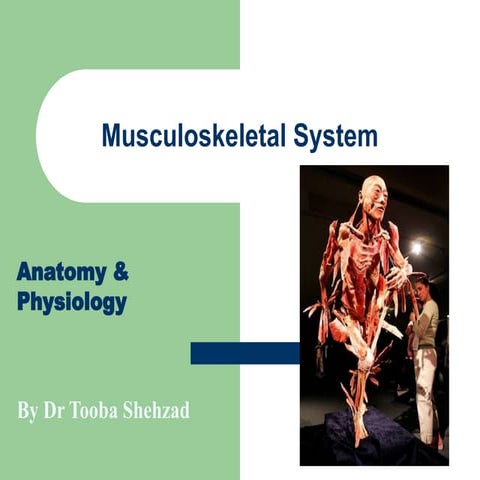 musculoskeletal-system-1000206665862676641-3.ppt