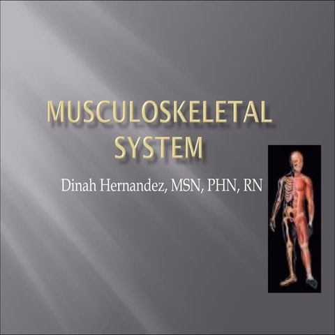 The Musculoskeletal System