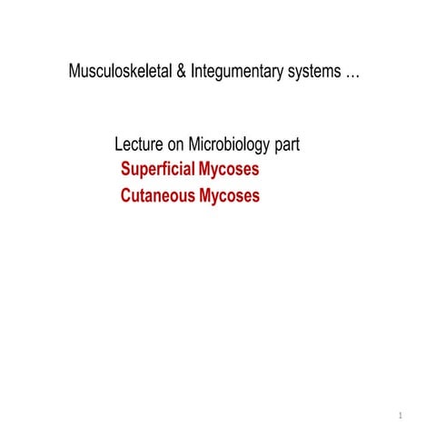 Musculoskeletal mycosis 2024(1).GGGYGpdf