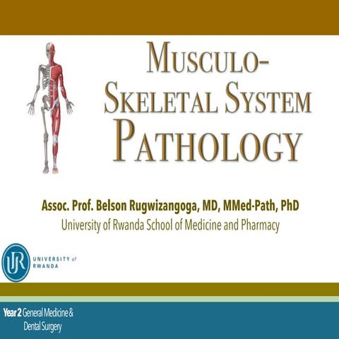 Musculoskeletal Pathology_2022-3_Assoc. Prof. Belson_compressed.pdf