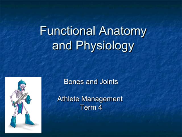Musculoskeletal system