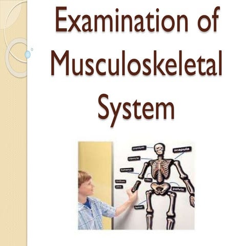 examination of Musculoskeletal system