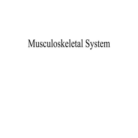 Musculoskeletal System