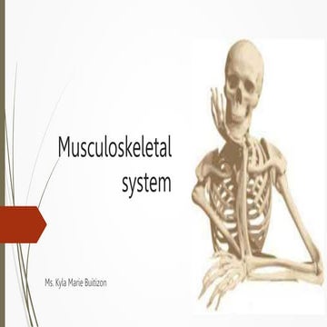 Musculoskeletal system.pptx