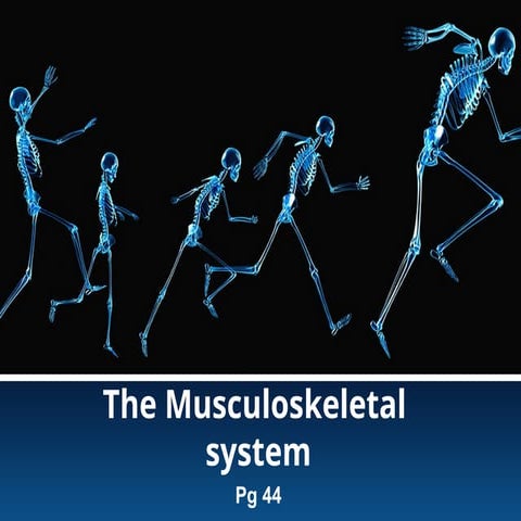 Musculoskeletal System - KS3 Introduction.pptx