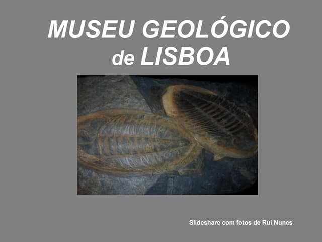 Museu GeolóGico