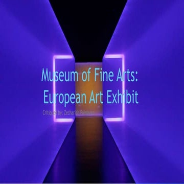 Museum of Fine Arts Houston Presentation