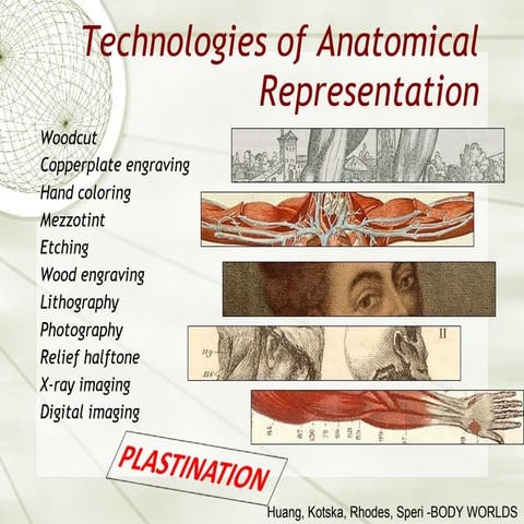 The BODY WORLD of Gunther von Hagen -  Huang  Kotska  Rhodes  Speri