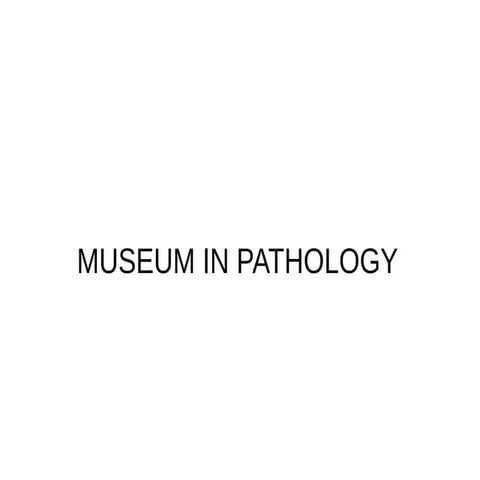 Museum techniques