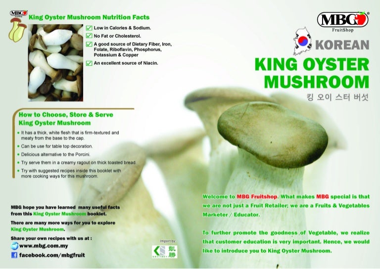 King Oyster Mushroom