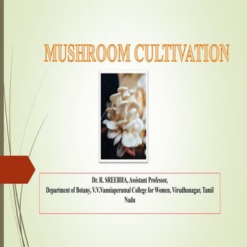Mushroom cultivation